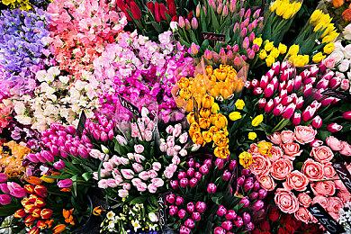 《荒野大镖客：救赎》Switch版容量大小公布：11.4GB